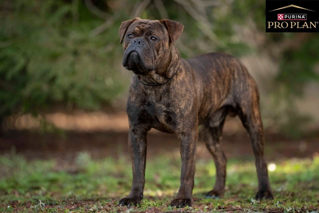 Apollon Des sources sacrees